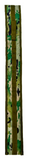 Multicam