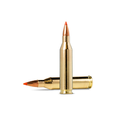 Norma - .243 Win 75gr V-Max Ammunition - N16004